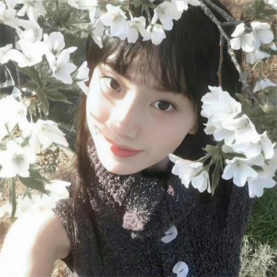 万圣节作战第一季